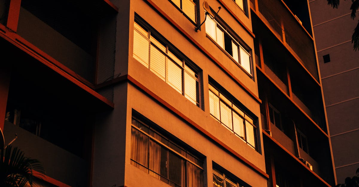 Professional bed bug inspection in Jersey City apartment