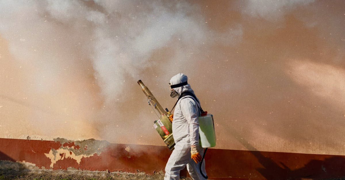 DIY Pest Control vs Professional — When to Call an Exterminator