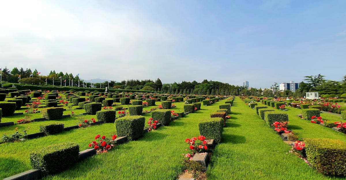 Beautiful, peaceful view of memorial park with rows of tombstones and blooming roses.