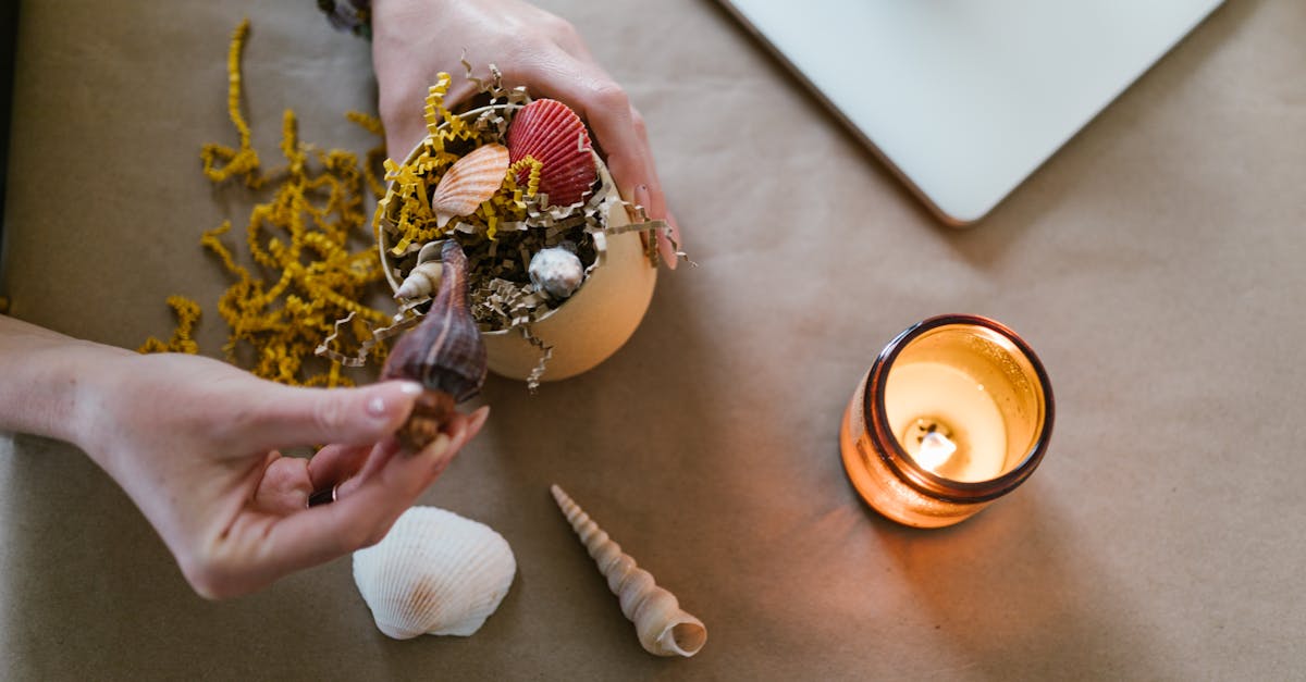 No platform offers what SignatureOS does for artists.