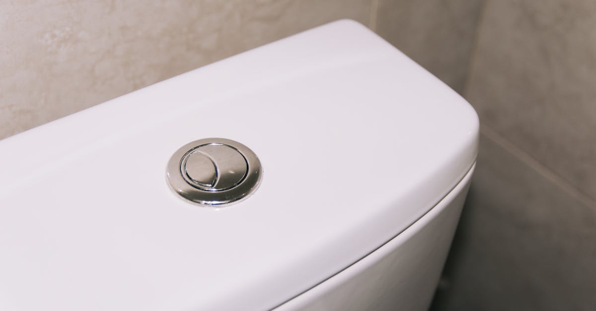 new toilet installation Georgetown TX — comfort height dual flush